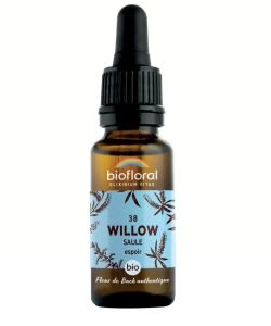 Saule - Willow (n°38) BIO, 20 ml